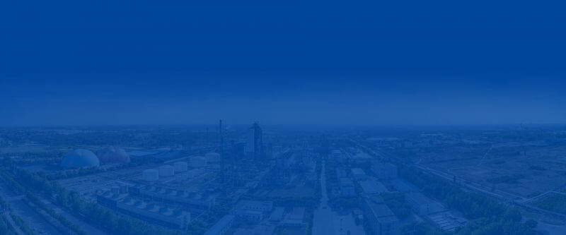 打造国际行业品牌   实显祗业和员工共同发展